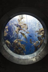 日本动漫剧场版免费封面，唯美手绘风格，少女与自然主题